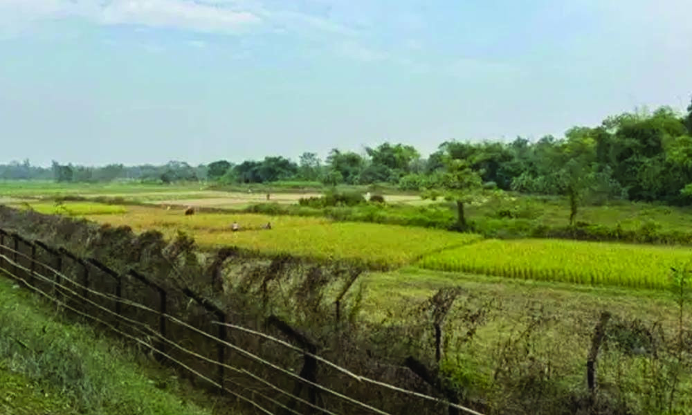 ভারতের ত্রিপুরায় ৩ বাংলাদেশিকে পিটিয়ে হত্যা